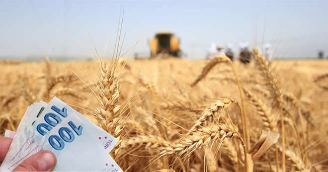 SERTİFİKALI TOHUM DESTEĞİ İÇİN SON GÜNE DİKKAT