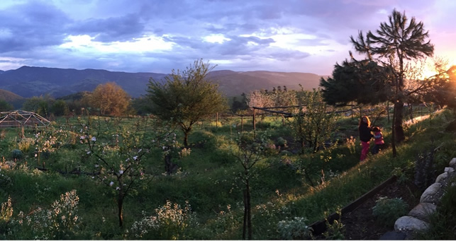 EKOLOJİ İLE PERMAKÜLTÜR BU ÇİFTLİKTE BULUŞUYOR