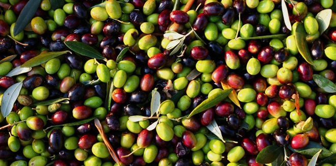 RANDIMANDAKİ ARTIŞ FİYATLARA YANSIDI