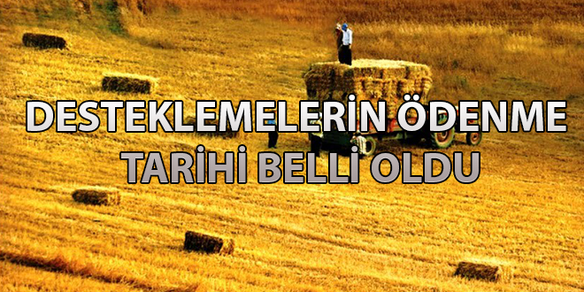 DESTEKLEMELERİN ÖDENME TARİHİ BELLİ OLDU