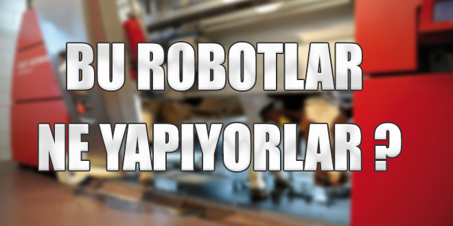 Bu robotlar ne yapıyorlar