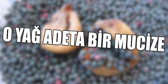 O yağ adeta bir mucize