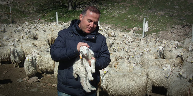 ANKARA BİRLİK KUZULARIN SESİ OLACAK