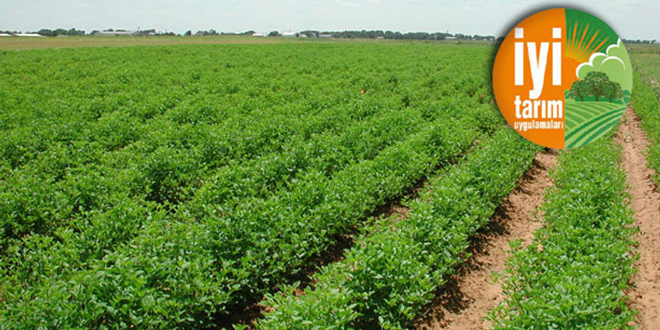 İYİ TARIM UYGULAMALARI DESTEKLEME BAŞVURULARI BAŞLADI