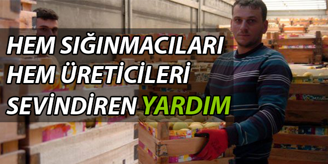 HEM SIĞINMACILARI HEM ÜRETİCİLERİ SEVİNDİREN YARDIM