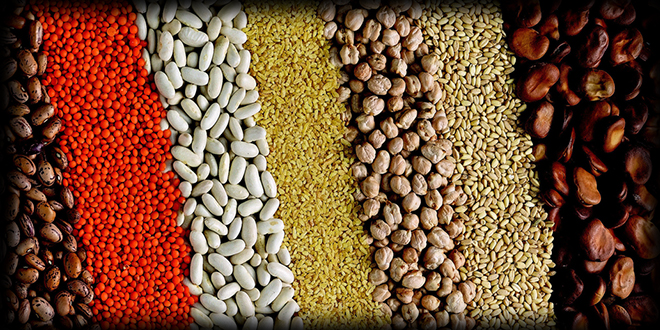 TARIM ÜRÜNLERİ YATIRIM ARACI OLUYOR