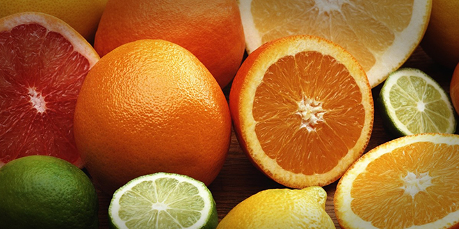 TURUNÇGİL ÜRETİCİLERİ BİRLİĞİNDE YENİ DÖNEM