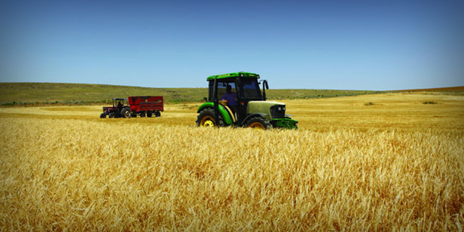 TARIM ÜFE MARTTA YÜZDE 2 48 ARTTI