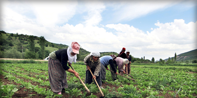 ÇKS KAYDINDA SON BİR HAFTA