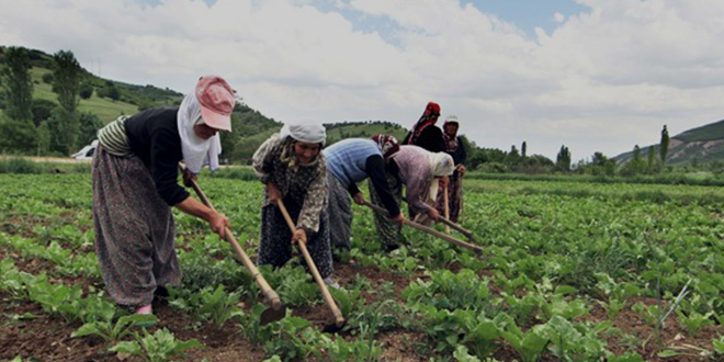 BAKANLIKTAN ÜRETİCİYE ÖDENEK