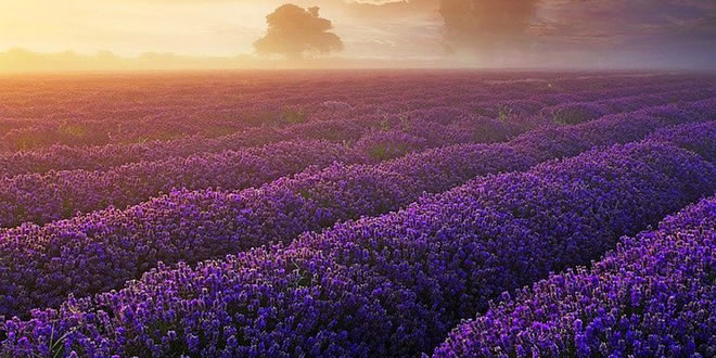 EROZYON LAVANTA İLE TARİH OLACAK