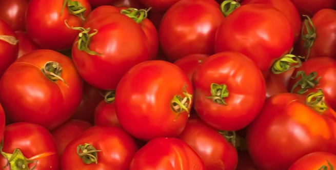 DOMATES FİYATLARI EL YAKIYOR