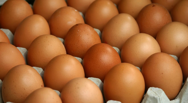 YUMURTADAN KÖTÜ HABER