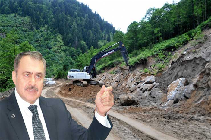 BAKAN EROĞLU NDAN KESİLEN AĞAÇLARLA İLGİLİ ŞOK AÇIKLAMALAR