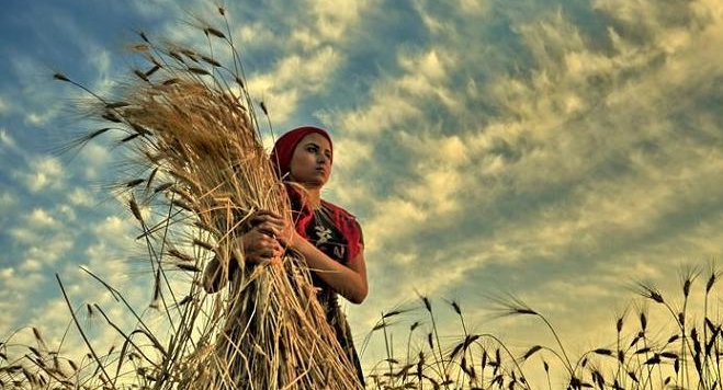 ÇİFTÇİYE BORÇ FAİZİ DESTEĞİ