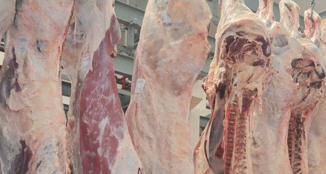 POLONYA DAN İTHAL ET GELİYOR