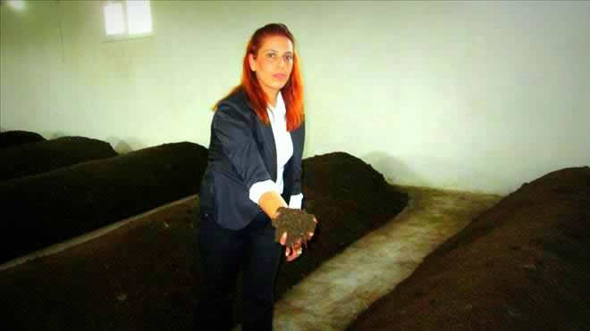 İLKNUR PAZARCIK IN SOLUCAN İŞÇİLERİ