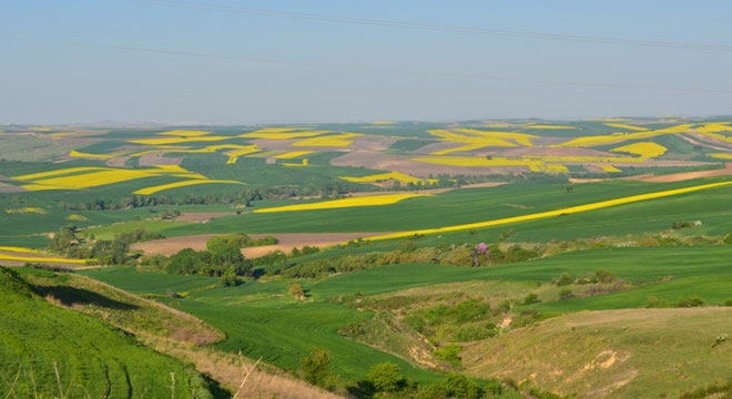 TRAKYA DA ÇEVRE PLANI KORKUSU
