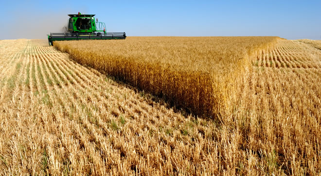 AB DEN TARIMA 1 MİLYAR AVROLUK DESTEK