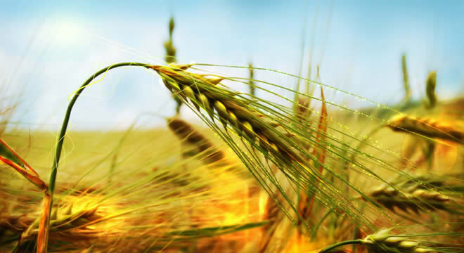 TARIM DESTEKLERİ MECLİS E TAŞINDI