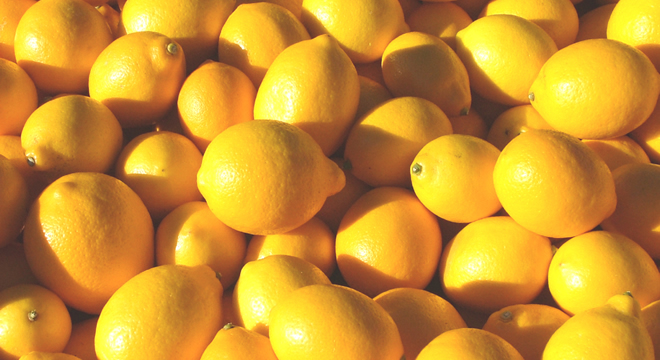 LİMON YÜZ GÜLDÜRÜYOR