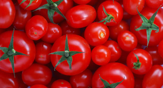 DEVLET DOMATESE EL KOYDU