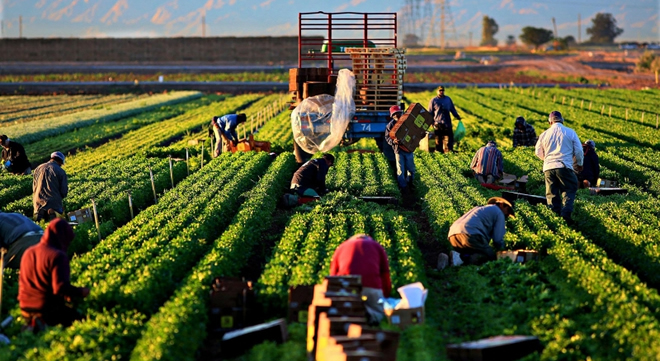 TARIM DIŞI İŞSİZLİK ARTIYOR