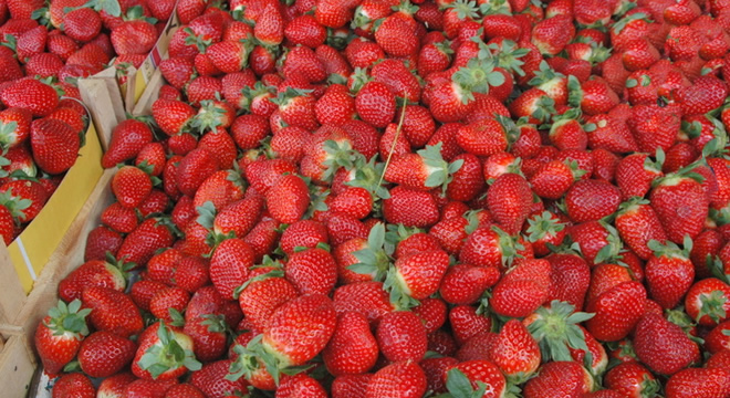 ÇİLEĞE KOKULU SPREY HİLESİ