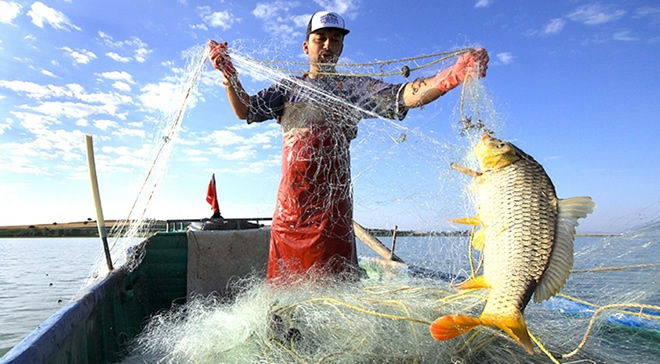 AV YASAĞI BİTİYOR