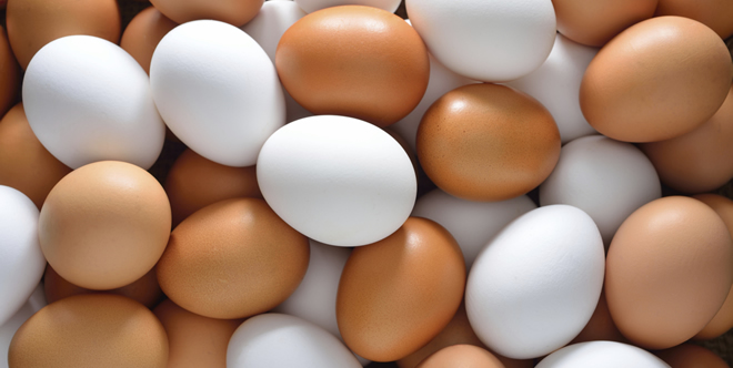 YUMURTA FİYATLARI FIRLADI