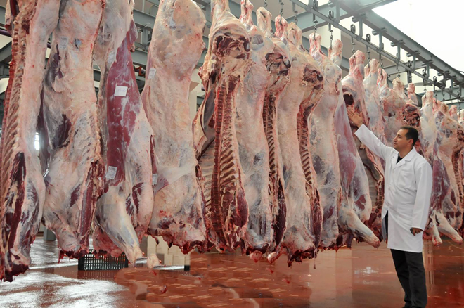 ET İTHALATINDA ŞOK İHALE