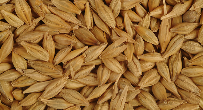 HUBUBAT TOHUMLUĞU 2015 SATIŞ FİYATLARI AÇIKLANDI