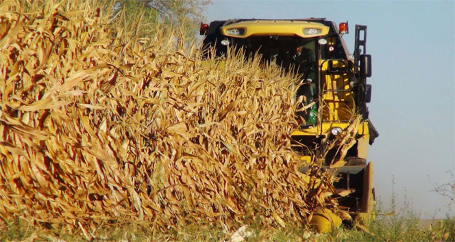 ZMO MISIR ALIM FİYATLARI AÇIKLANSIN