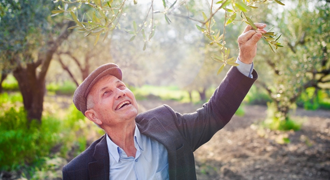 ÇİFTÇİYE 356 MİLYON LİRALIK ÖDEME