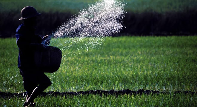 İYİ TARIM İÇİN SELENYUMLU GÜBRE