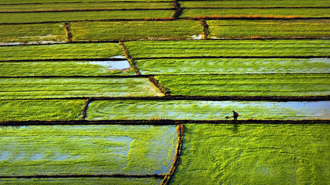 TÜRKİYE NİN ÇELTİĞİ EDİRNE DEN