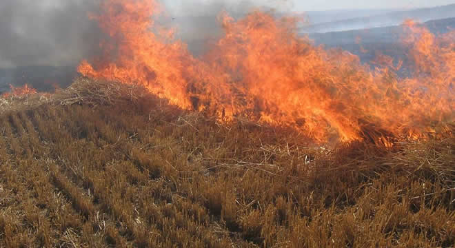 ANIZ YANGINLARINA DİKKAT