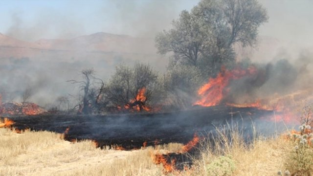ANIZ YAKANLARA DESTEKLEME YOK