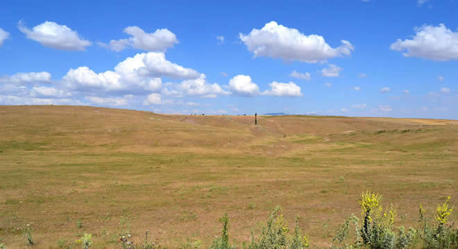 KONYA TARIMI ALARM VERİYOR