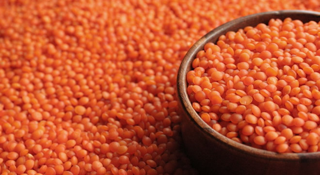 MERCİMEK REKOR KIRIYOR