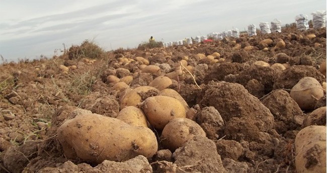 MİLDİYÖ TARTIŞMASI BÜYÜYOR