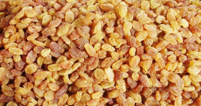 MAZOTLU ÜZÜM İDDİALARINA YALANLAMA