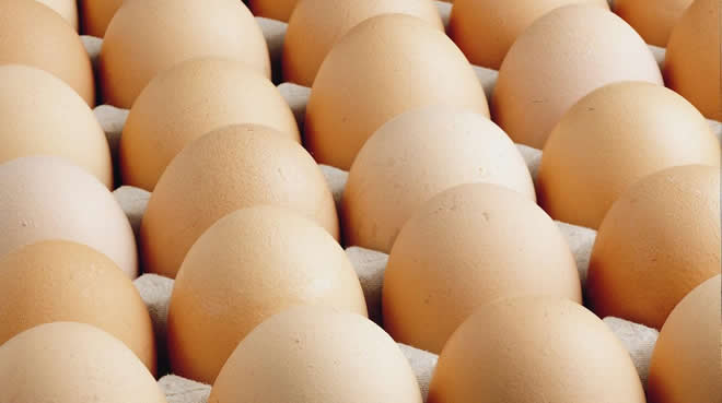 YUMURTA SATIŞINDA YENİ KURALLAR