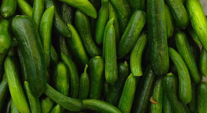 AĞUSTOSUN ZAM ŞAMPİYONU