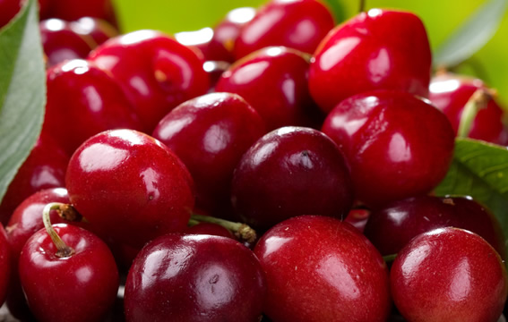 AFYON KİRAZI ÇİN E GİDİYOR