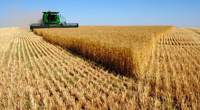 TARIMIN 10 YILLIK GELECEĞİ BU RAPORDA