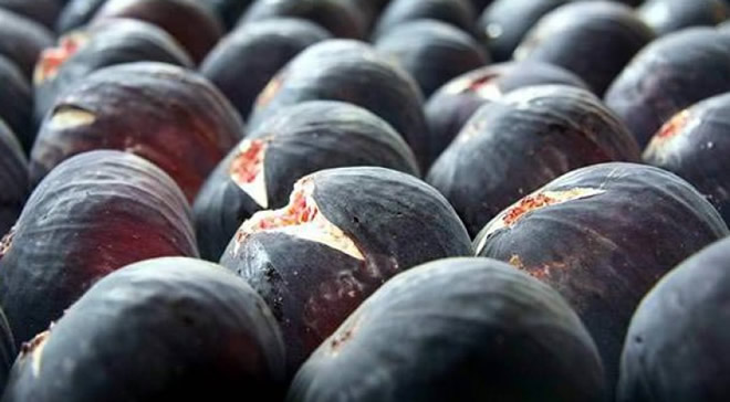 ASYA PAZARINA AÇILIYOR