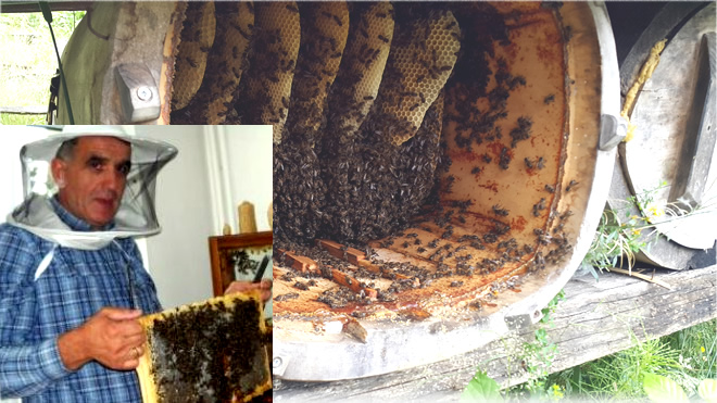 ARICILIĞIN GELİŞMESİ İÇİN ARICILIK KANUNUMUZ YOK