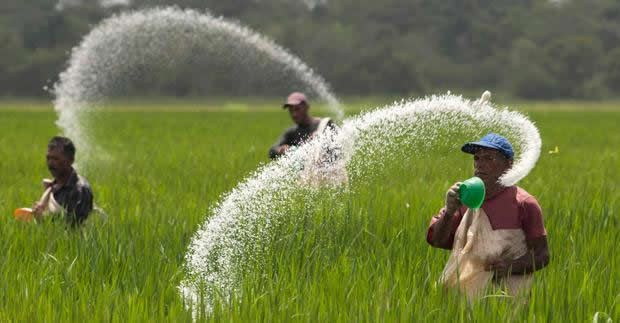 GÜBRE ÜRETİMİ VE SATIŞINA BELGE ZORUNLULUĞU GELİYOR