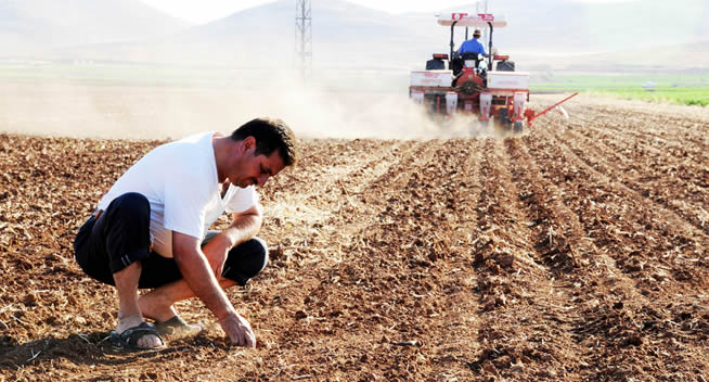 GIDA FİYATLARINDAKİ ARTIŞTAN KİM KAZANIYOR